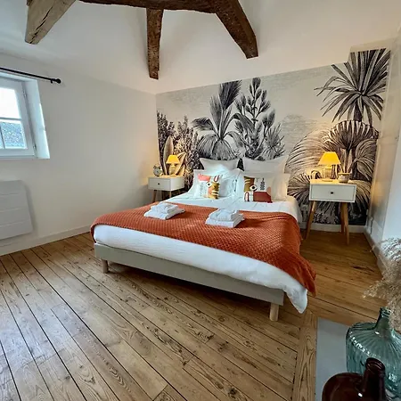 Centre Climatise Vue Chateau * Saumur