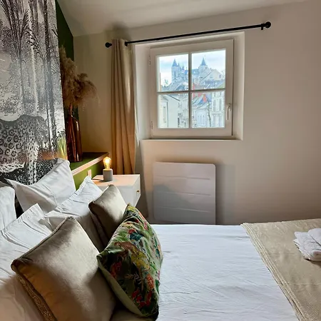 Centre Climatise Vue Chateau * Saumur