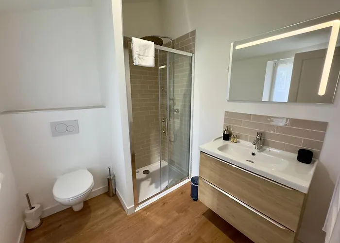 Centre Climatise Vue Chateau * Saumur