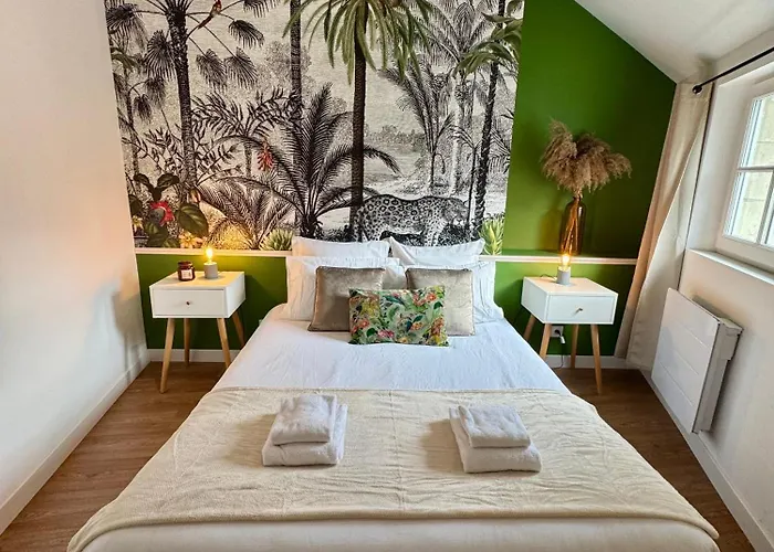 Centre Climatise Vue Chateau Apartment Saumur