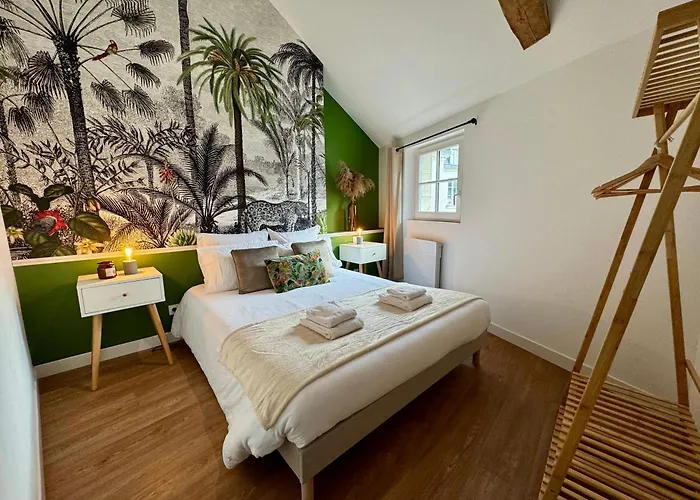 Apartment Centre Climatise Vue Chateau