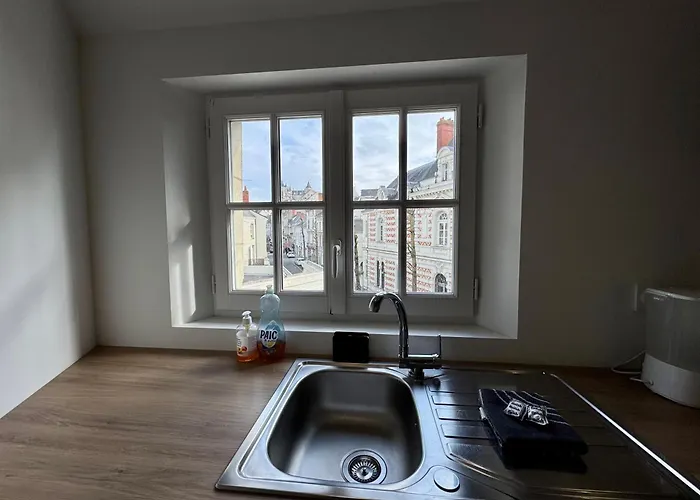 Centre Climatise Vue Chateau Saumur